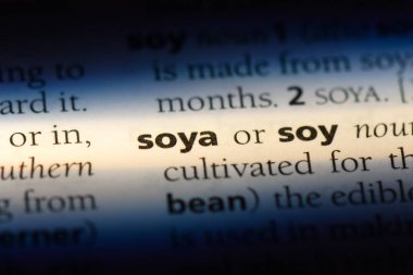 Soya Word'de bir sözlük. Soya kavramı.
