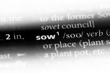 bir sözlüğü'ndeki sözcüğü ekmek. kavram ekmek.