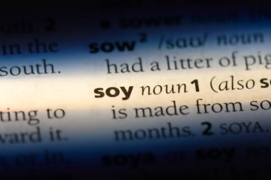 Soya Word'de bir sözlük. Soya kavramı.