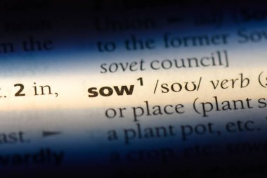 bir sözlüğü'ndeki sözcüğü ekmek. kavram ekmek.