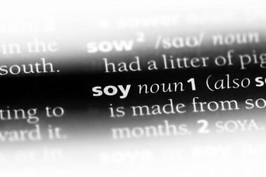 Soya Word'de bir sözlük. Soya kavramı.