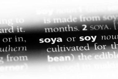 Soya Word'de bir sözlük. Soya kavramı.