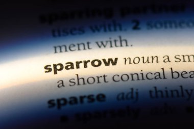 serçe Word'de bir sözlük. serçe kavramı.