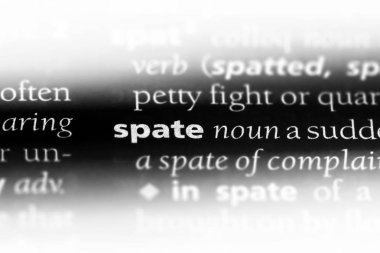 bir sözlüğü'ndeki sel sözcüğü. sel kavramı.