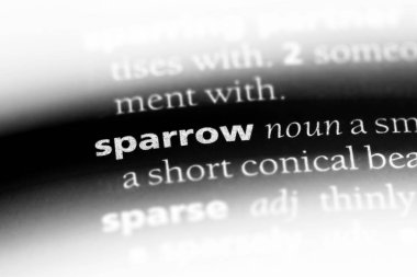 serçe Word'de bir sözlük. serçe kavramı.