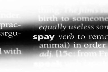 bir sözlüğü'ndeki sözcüğü spay. kavram spay.