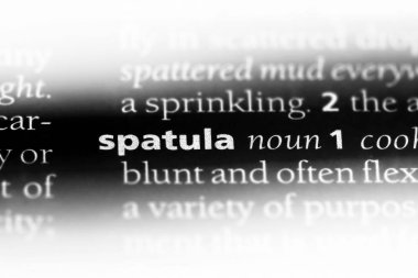 spatula Word'de bir sözlük. spatula kavramı.