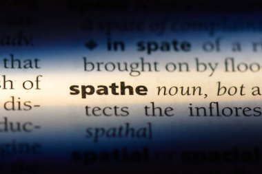 Yen Word'de bir sözlük. Yen kavramı.