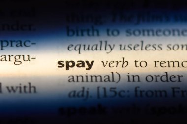 bir sözlüğü'ndeki sözcüğü spay. kavram spay.