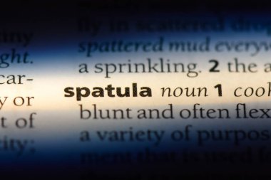 spatula Word'de bir sözlük. spatula kavramı.
