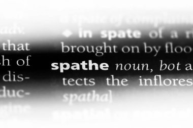 Yen Word'de bir sözlük. Yen kavramı.