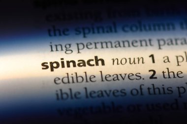 Ispanak Word'de bir sözlük. Ispanak kavramı.