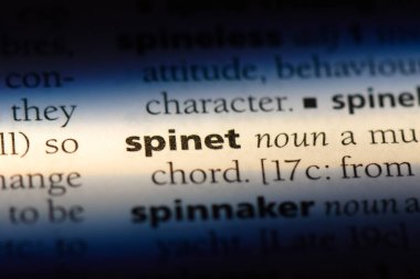 spinet Word'de bir sözlük. spinet kavramı.