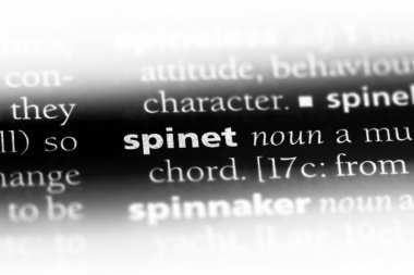 spinet Word'de bir sözlük. spinet kavramı.