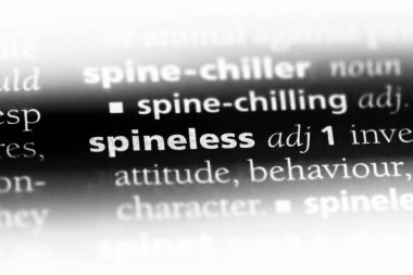 omurgasız tek kelimeyle bir sözlük. omurgasız kavramı.