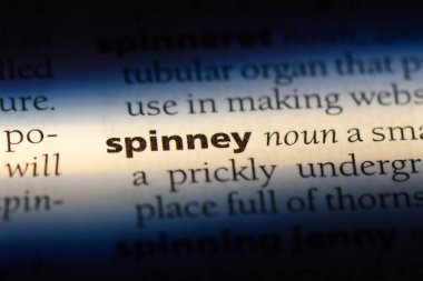 bir sözlüğü'ndeki koruluğa sözcüğü. koruluğa kavramı.