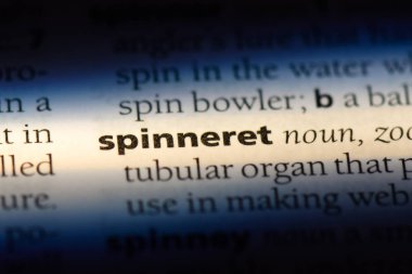 spinneret sözcük sözlüğe. spinneret kavramı.