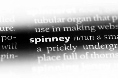 bir sözlüğü'ndeki koruluğa sözcüğü. koruluğa kavramı.