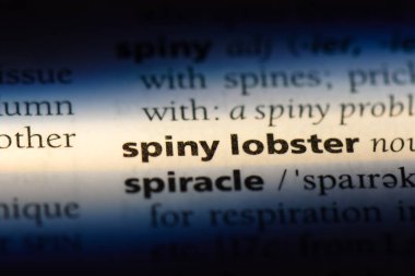 Spiny ıstakoz Word'de bir sözlük. Spiny ıstakoz kavramı.