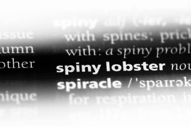 Spiny ıstakoz Word'de bir sözlük. Spiny ıstakoz kavramı.