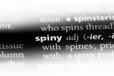 Dikenli tek kelimeyle bir sözlük. Dikenli kavramı.