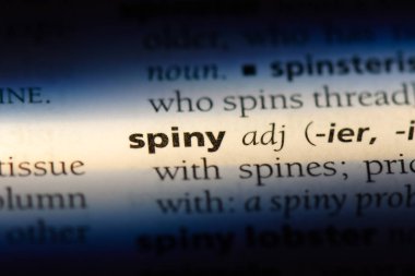 Dikenli tek kelimeyle bir sözlük. Dikenli kavramı.