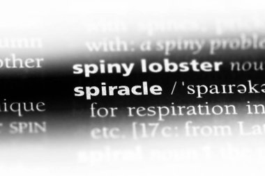 spiracle sözcük sözlüğe. spiracle kavramı.