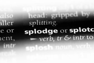 splodge sözcük sözlüğe. splodge kavramı.
