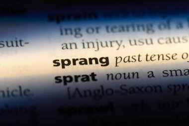 bir sözlüğü'ndeki sözcüğü fırladı. kavram fırladı.