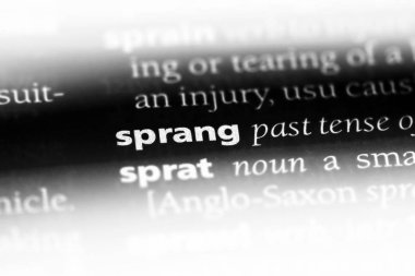 bir sözlüğü'ndeki sözcüğü fırladı. kavram fırladı.