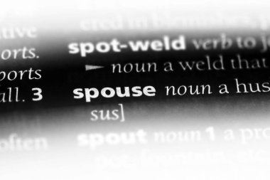 Sözlüğe sözcük eş. eş kavramı.