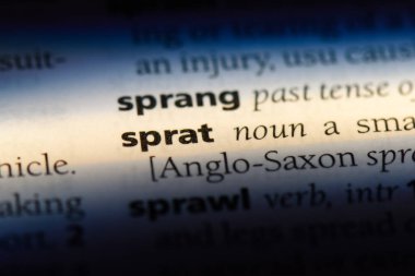 çaça Word'de bir sözlük. çaça kavramı.