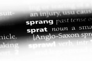 çaça Word'de bir sözlük. çaça kavramı.