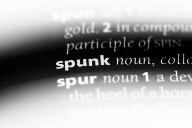 cesaret kelime sözlüğe. cesaret kavramı.