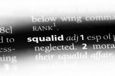 köpek balığı gibi tek kelimeyle bir sözlük. köpek balığı gibi kavramı.