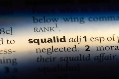 köpek balığı gibi tek kelimeyle bir sözlük. köpek balığı gibi kavramı.