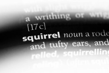 sincap Word'de bir sözlük. sincap kavramı.