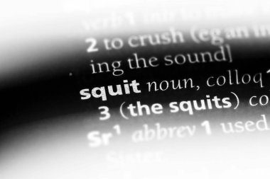 bir sözlüğü'ndeki squit sözcüğü. squit kavramı.