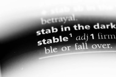 bir sözlüğü'ndeki istikrarlı sözcüğü. istikrarlı kavramı.