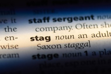 erkeklere özel sözcük sözlüğe. erkeklere özel konsept.