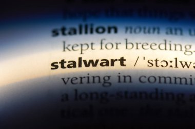 korkusuz sözcük sözlüğe. kuvvetli kavramı.