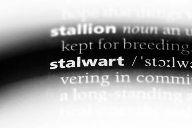 korkusuz sözcük sözlüğe. kuvvetli kavramı.