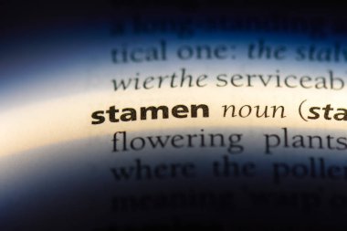 ercik Word'de bir sözlük. ercik kavramı.