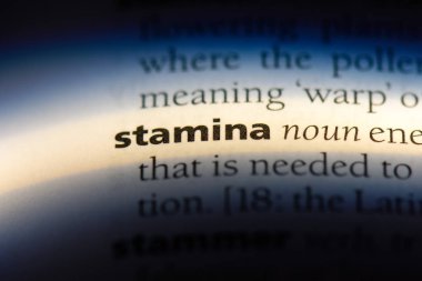 dayanıklılık Word'de bir sözlük. dayanma gücü kavramı.