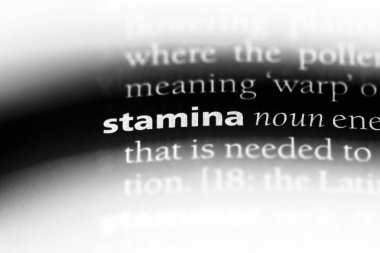 dayanıklılık Word'de bir sözlük. dayanma gücü kavramı.