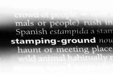 uzmanlik zemin Word'de bir sözlük. uzmanlik zemin kavramı.