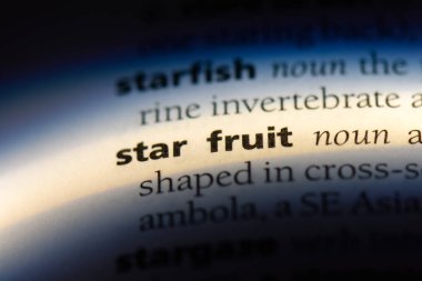 Star Meyve Word'de bir sözlük. Star Meyve kavramı.