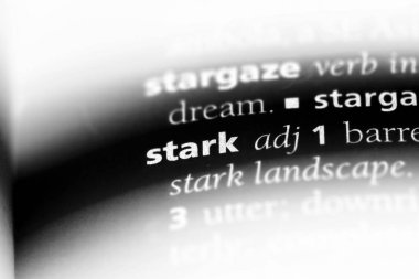 Stark tek kelimeyle bir sözlük. Stark kavramı.