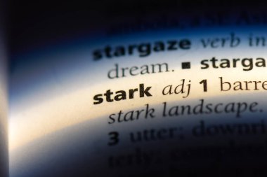 Stark tek kelimeyle bir sözlük. Stark kavramı.