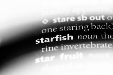 deniz yıldızı Word'de bir sözlük. deniz yıldızı kavramı.